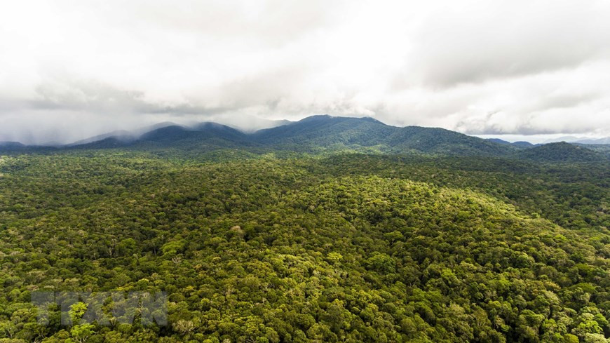 Khu bảo tồn thiên nhiên Nam Nung, nằm trải dài 7 xã thuộc 3 huyện của tỉnh Đắk Nông là Đắk G’long, Đắk Song, và Krông Nô. Ảnh: TTXVN phát Khu bảo tồn thiên nhiên Nam Nung, nằm trải dài 7 xã thuộc 3 huyện của tỉnh Đắk Nông là Đắk G’long, Đắk Song, và Krông Nô. (Ảnh: TTXVN phát)