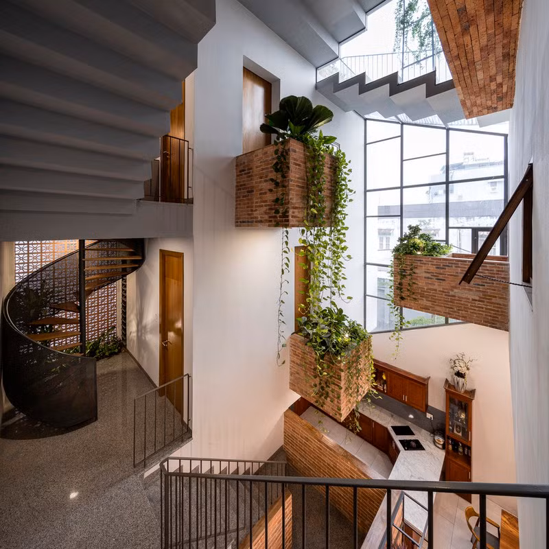 Chậu cây hình tổ chim bố trí khéo léo trong nhà.