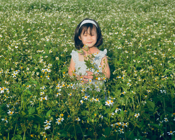 Cánh đồng hoa xuyến chi. Ảnh: N.T.D