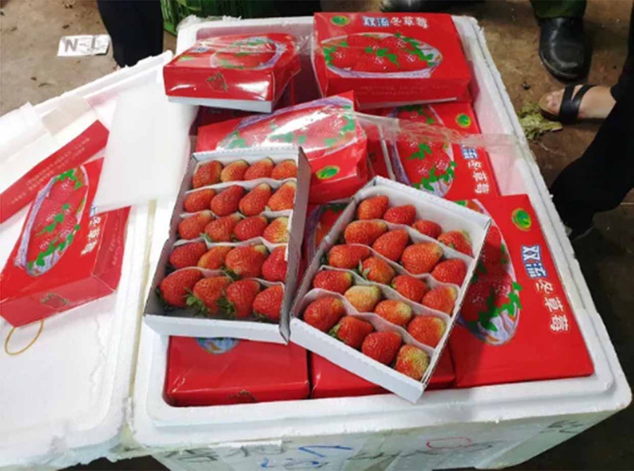 326 thùng xốp đều chứa dâu tây tươi, ngoài hộp là chữ Trung Quốc.