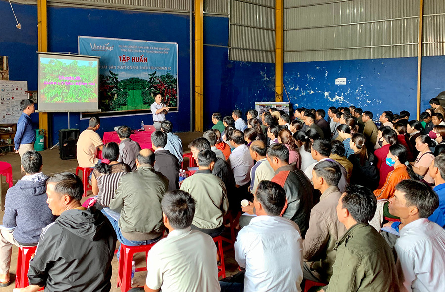  Nông dân tham gia tập huấn kỹ thuật sản xuất cà phê theo tiêu chuẩn 4C. Ảnh: H.D