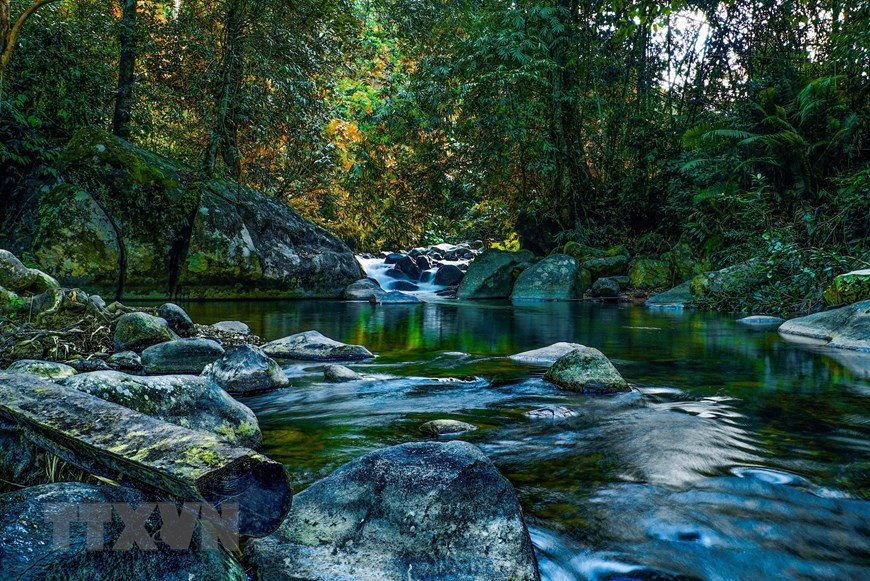 Thác Trượt, một thắng cảnh tự nhiên trong Vườn Quốc gia Tà Đùng, xã Đắk Som, huyện Đắk G’Long, tỉnh Đắk Nông. Ảnh: TTXVN phát Thác Trượt, một thắng cảnh tự nhiên trong Vườn Quốc gia Tà Đùng, xã Đắk Som, huyện Đắk G’Long, tỉnh Đắk Nông. (Ảnh: TTXVN phát)
