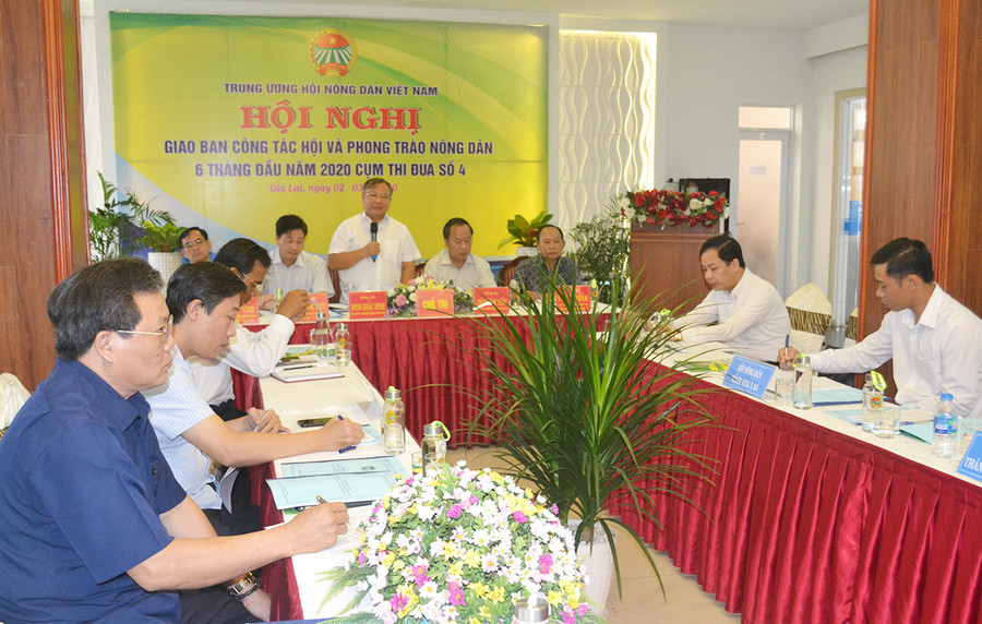 Quang cảnh buổi hội nghị. Ảnh: Hoàng Cư