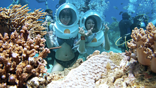 Đi bộ dưới đáy biển, ngắm thế giới đại dương ở vịnh Nha Trang. Ảnh: V.A