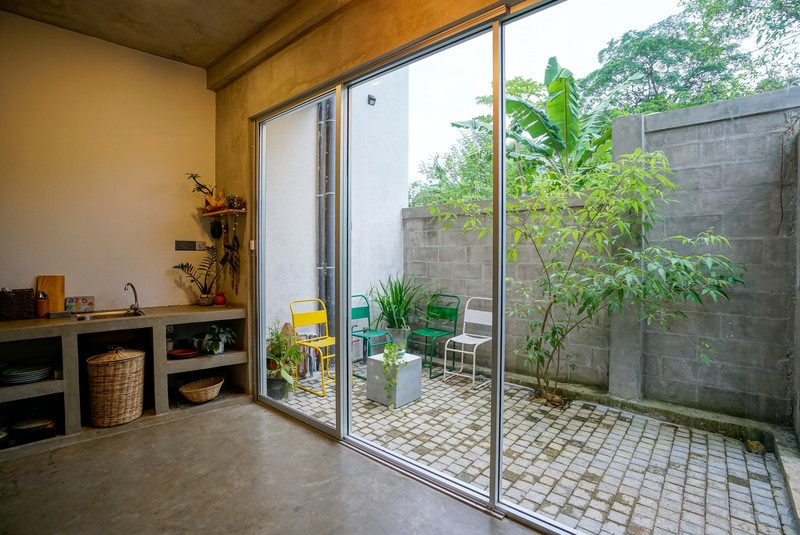 Nhờ không bị hạn chế tầm nhìn và ánh sáng, nên cây cối phát triển xanh tốt ở khắp mọi nơi.