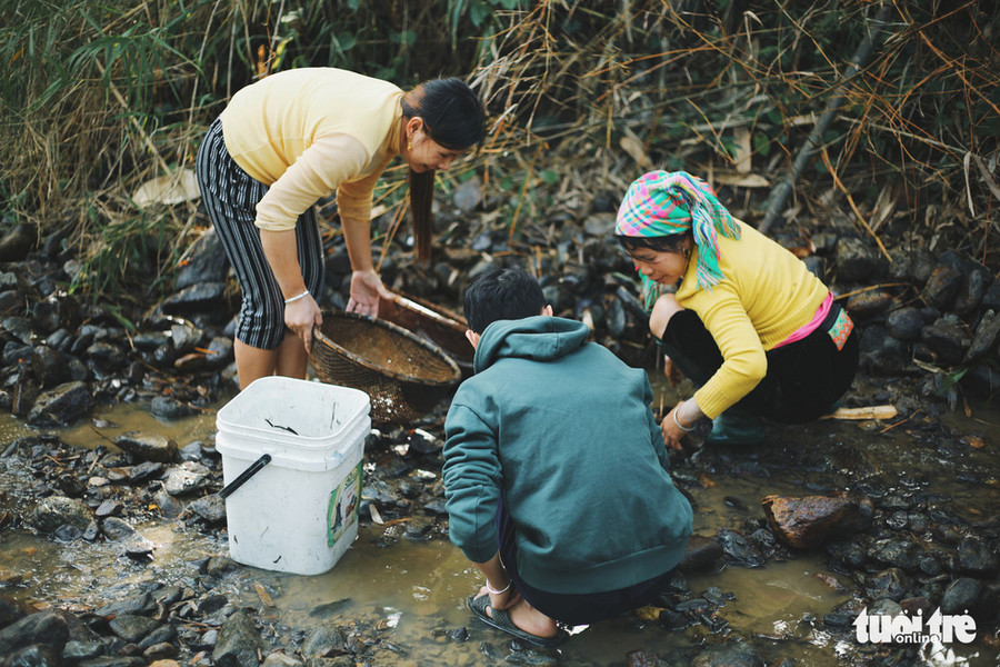 Trải nghiệm lội suối bắt cá cùng người dân - Ảnh: MAI THƯƠNG