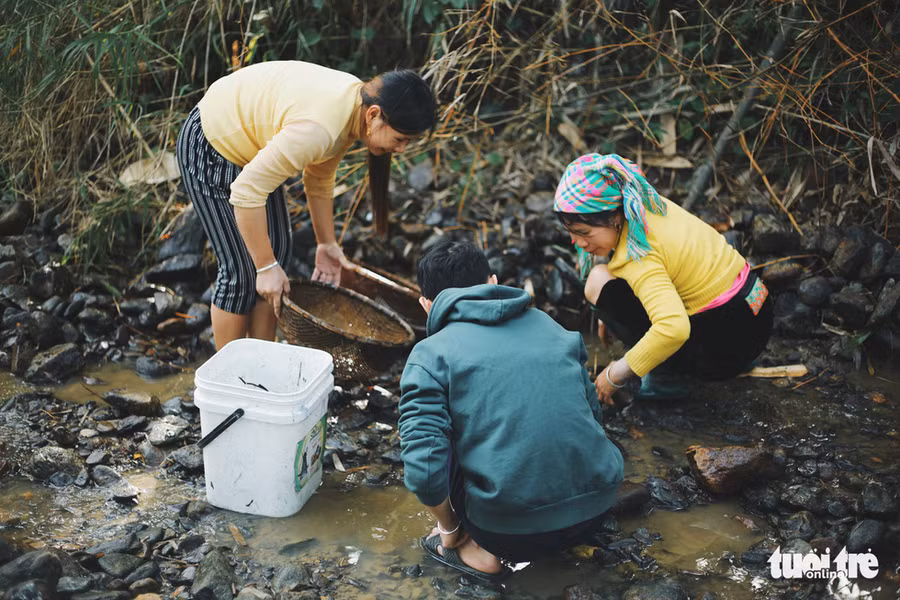 Trải nghiệm lội suối bắt cá cùng người dân - Ảnh: MAI THƯƠNG