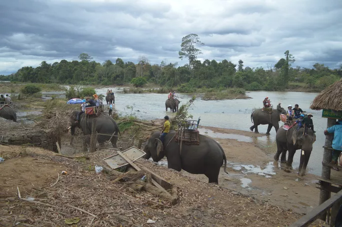 Du khách cưỡi voi tại chi nhánh du lịch Biệt Điện