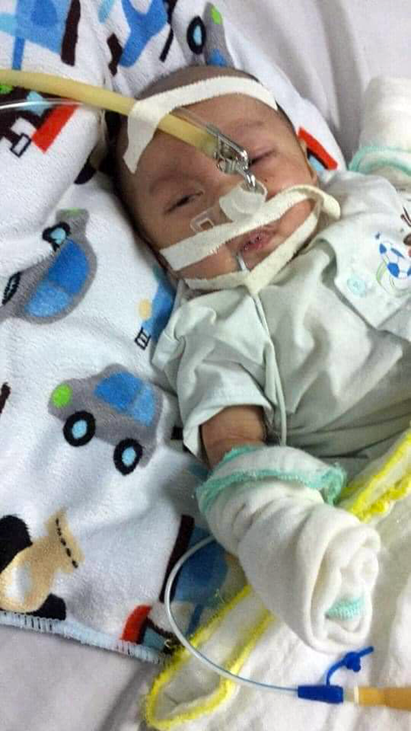 Cháu Trần Gia Khang. Ảnh: Võ Minh Hạnh 