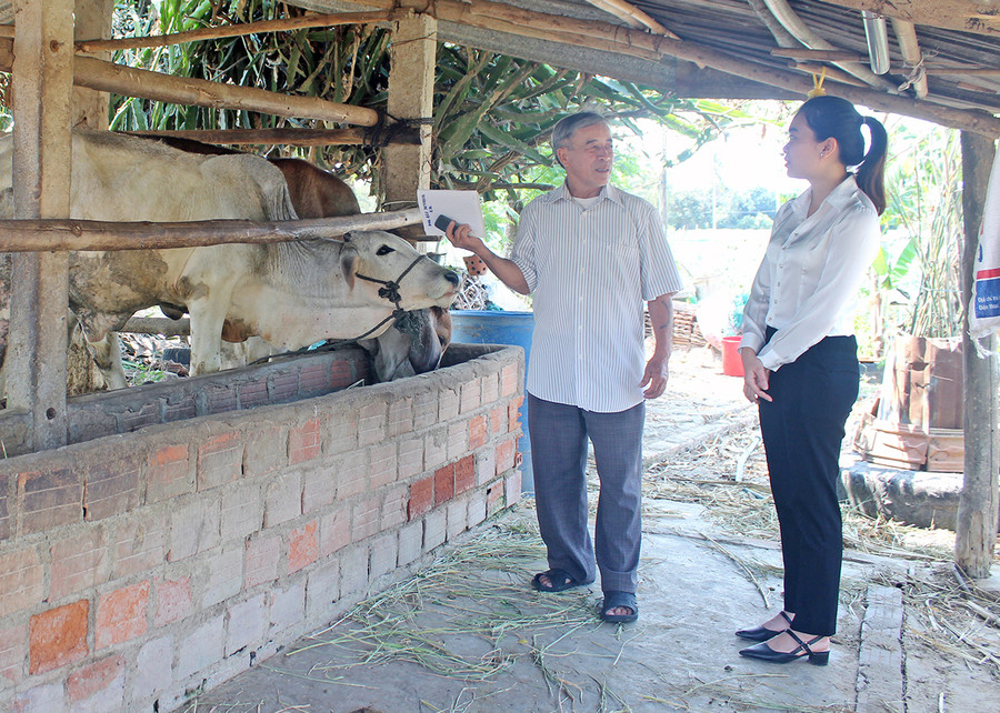 Ông Hồ Ngọc Yển-Tổ trưởng Tổ vay vốn thôn 3 (xã Thành An, thị xã An Khê) trao đổi với cán bộ tín dụng phụ trách địa bàn. Ảnh: Sơn Ca Ông Hồ Ngọc Yển-Tổ trưởng Tổ vay vốn thôn 3 (xã Thành An, thị xã An Khê) trao đổi với cán bộ tín dụng phụ trách địa bàn. Ảnh: T.D