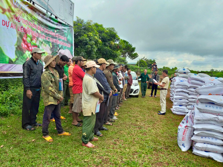 Các hộ nông dân tham gia dự án liên kết sản xuất cà phê bền vững theo tiêu chuẩn 4C được hỗ trợ phân bón miễn phí. Ảnh: Hà Duy 