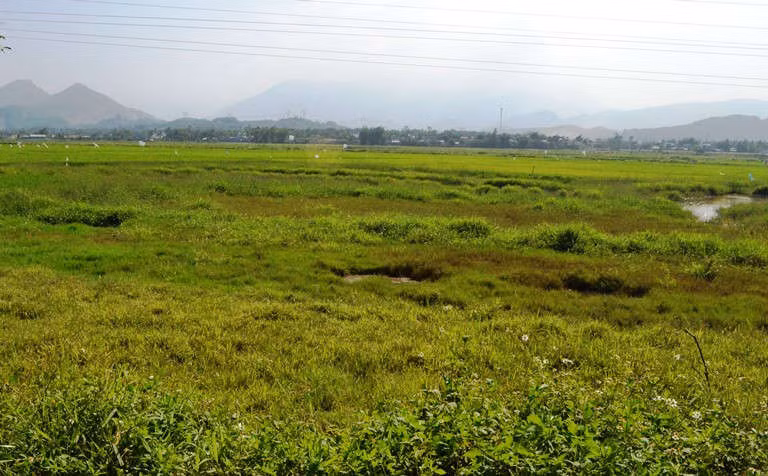 Bỏ hoang đất là hành vi bị cấm và nếu bỏ hoang đất quá thời hạn quy định sẽ bị xử phạt. Ảnh minh họa.I.T