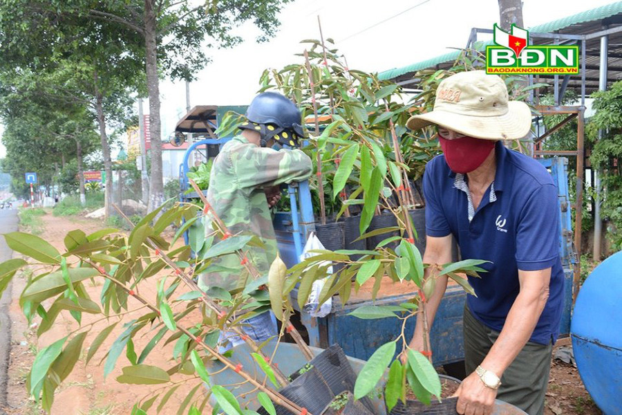 Người dân không nên tăng mạnh diện tích trồng bơ, trồng sầu riêng...