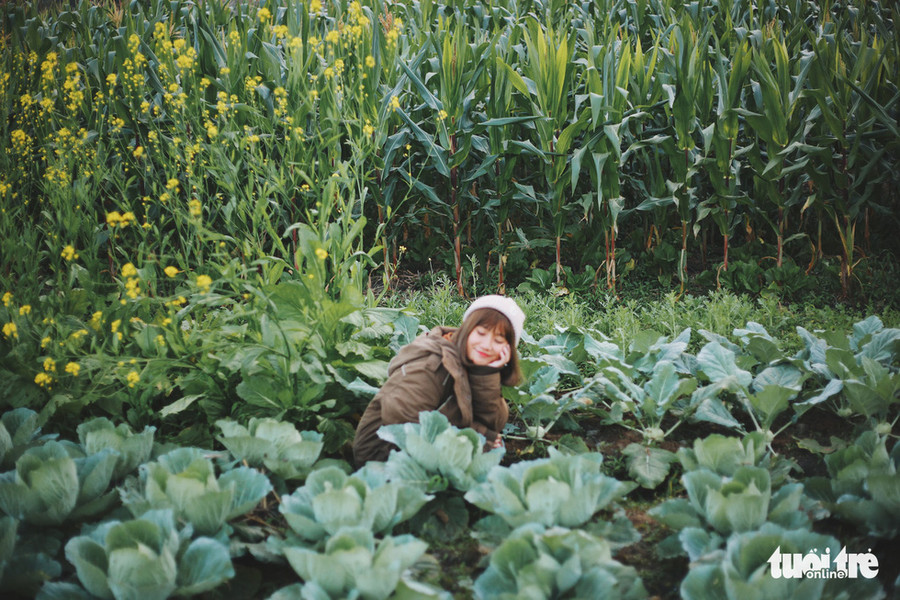 Ra vườn làm nông, thu hoạch hoa màu để chuẩn bị cho bữa trưa - Ảnh: CẨM TIÊN