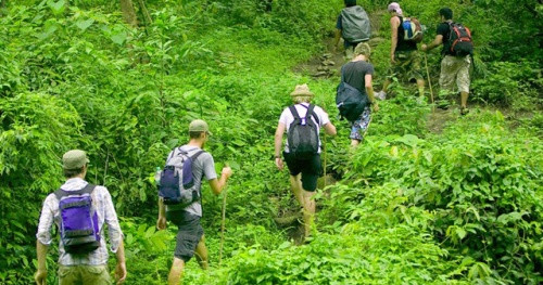 Ảnh minh họa: Internet