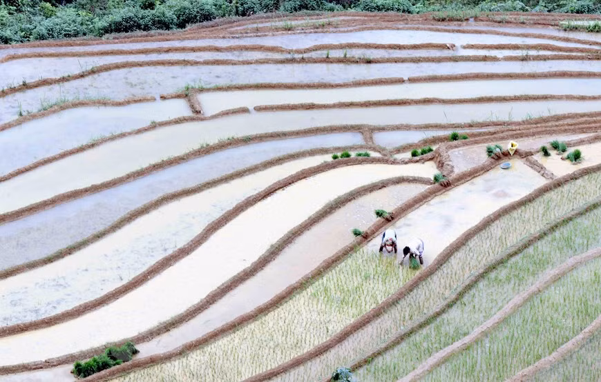 Mỗi khi có nước về, đồng bào dân tộc Mông, Thái tại xã Chiềng Muôn, huyện Mường La, tỉnh Sơn La, tranh thủ làm đất để gieo cấy lúa. (Ảnh: Quang Quyết/TTXVN)