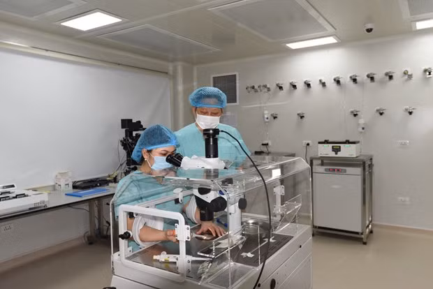 Vấn đề vô sinh hiếm muộn đang là gánh nặng trong lĩnh vực sản phụ khoa của Việt Nam. Ảnh: PV/Vietnam+