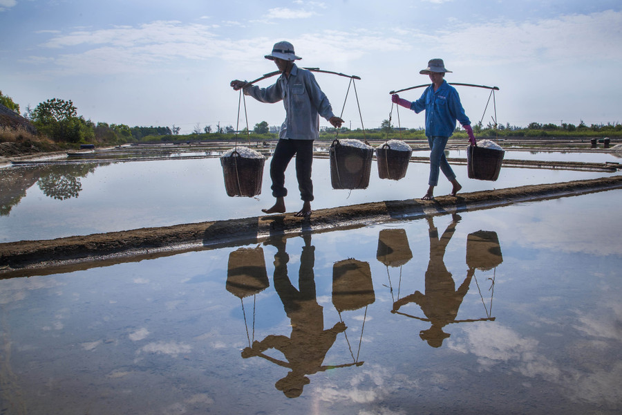  Tác phẩm Nghề làm muối của tác giả Nguyễn Mạnh Cường đoạt giải ba