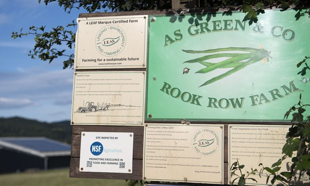 Nông trang AS Green & Co. (Nguồn: Getty Images)