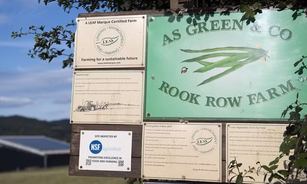 Nông trang AS Green & Co. (Nguồn: Getty Images)