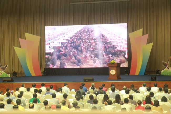 Sự kiện giới thiệu, quảng bá sản phẩm gà năm 2020 tại tỉnh Bình Định. Sự kiện giới thiệu, quảng bá sản phẩm gà năm 2020 tại tỉnh Bình Định.