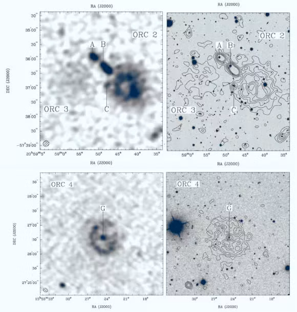 Cận cảnh hình ảnh được 