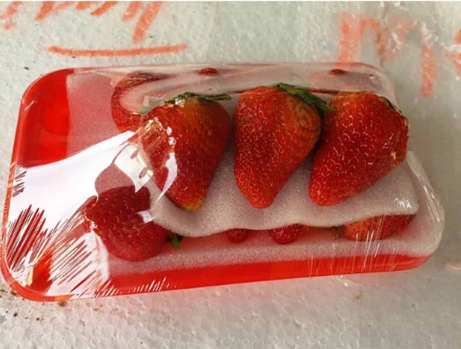 Dâu tây tươi đủ loại lớn nhỏ có màu sắc rất đẹp.