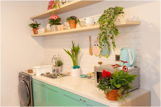 Căn bếp được điểm thêm sắc màu tươi mới với Violet châu Phi, Lavender hương thơm nhẹ, hoặc vài chậu thường xuân, giúp thanh lọc không khí.