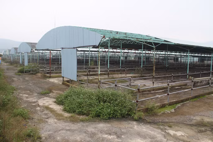 Dự án của Công ty CP Chăn nuôi Bình Hà bỏ hoang trong thời gian dài