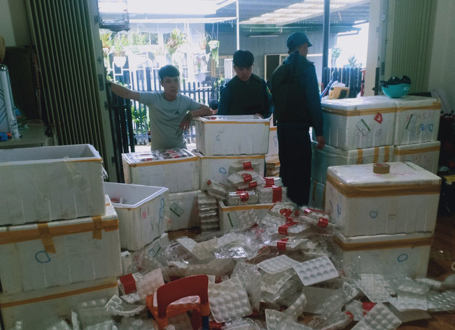 Lực lượng chức năng thu giữ 26 thùng dâu tây tươi tại căn nhà của Nguyễn Thị Mỹ Phương.