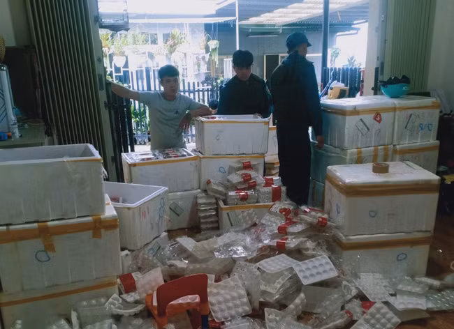 Lực lượng chức năng thu giữ 26 thùng dâu tây tươi tại căn nhà của Nguyễn Thị Mỹ Phương.