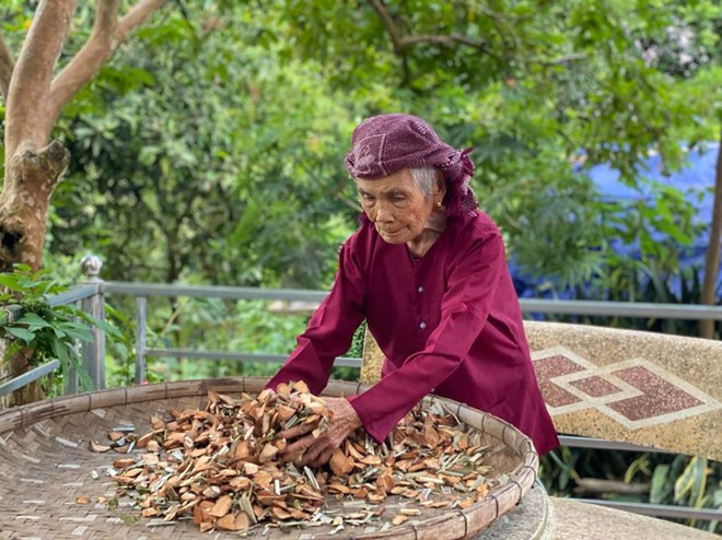 Mẹ VNAH Nguyễn Thị Sự năm nay 102 tuổi vẫn hằng ngày bốc thuốc chữa bệnh cứu người - Ảnh: T.Hằng Mẹ VNAH Nguyễn Thị Sự năm nay 102 tuổi vẫn hằng ngày bốc thuốc chữa bệnh cứu người - Ảnh: T.Hằng