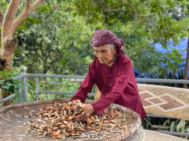 Mẹ VNAH Nguyễn Thị Sự năm nay 102 tuổi vẫn hằng ngày bốc thuốc chữa bệnh cứu người - Ảnh: T.Hằng
