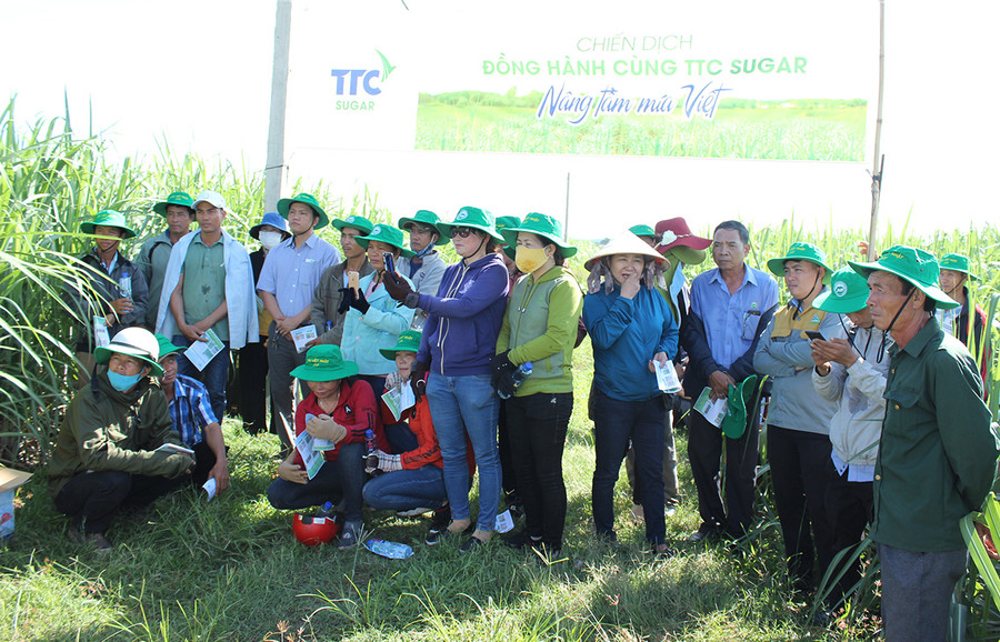 Nông dân tham quan mô hình trồng mía kỹ thuật canh tác mới. Ảnh: Nguyễn Diệp Nông dân tham quan mô hình trồng mía kỹ thuật canh tác mới. Ảnh: Nguyễn Diệp