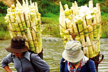 Ảnh minh họa: Internet Ảnh minh họa: Internet
