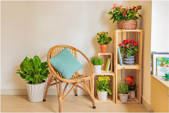 Chủ nhân dành ra một góc nhỏ để thưởng trà, ngắm hoa với các thùng pallet gỗ, ghế mây tre.