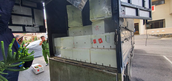 Chiếc xe chở 123 thùng dâu tây được Công an TP.Đà Lạt bắt giữ