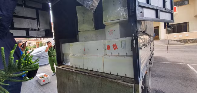 Chiếc xe chở 123 thùng dâu tây được Công an TP.Đà Lạt bắt giữ