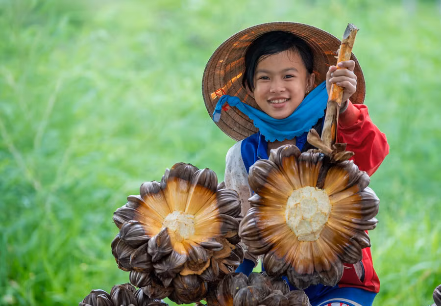 Tác phẩm Dừa nước, đặc sản của Cần Giờ của tác giả Trần Cao Bảo Long, đoạt giải nhất cuộc thi “Giá trị rừng ngập mặn Cần Giờ”