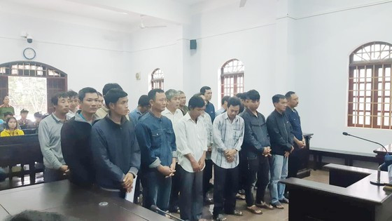  Các bị cáo trong đường dây gỗ lậu của Phượng 