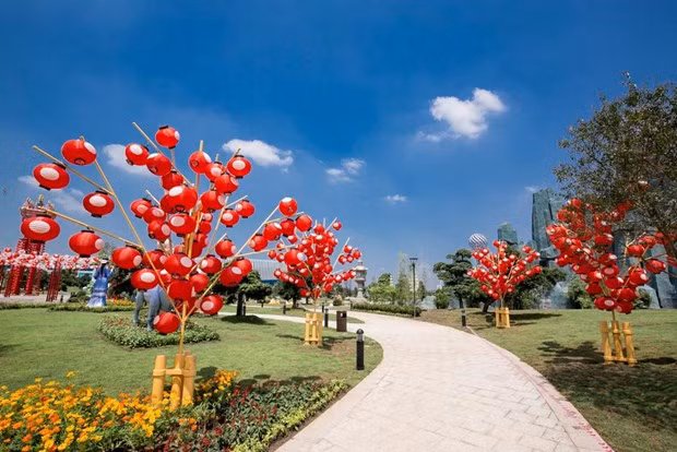 Cụm 15 cây đèn lồng vô cùng nổi bật. (Ảnh: CTV)