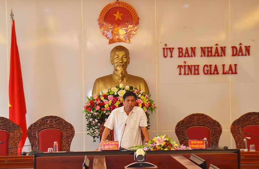  Phó Chủ tịch UBND tỉnh phát biểu chỉ đạo cuộc họp. Ảnh: L.N