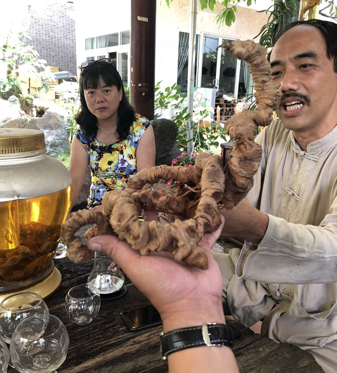 Anh Tuyền cho rằng có phước duyên mới tìm được củ sâm quý này - Ảnh: Quang Viên