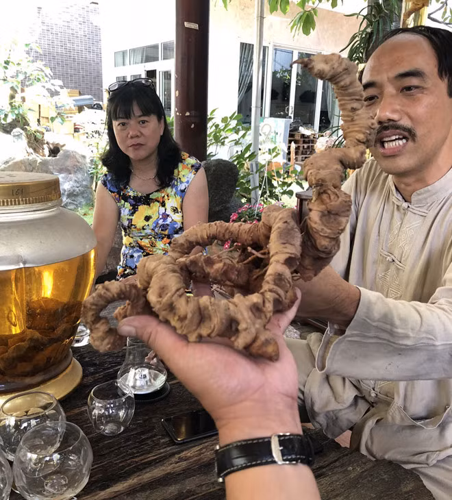 Anh Tuyền cho rằng có phước duyên mới tìm được củ sâm quý này - Ảnh: Quang Viên