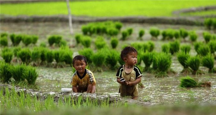 Những nụ cười thơ ngây, ánh mắt sáng bừng lấp lánh trên khuôn mặt đen nhẻm có lẽ sẽ là hình ảnh khó quên đối với những du khách từng đặt chân đếnrẻo đất vùng caođẹp đẽ này. (Nguồn: Mu Cang Chai Eco Lodge)