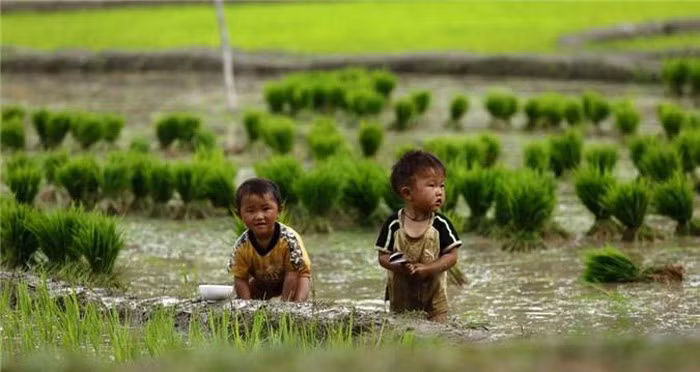 Những nụ cười thơ ngây, ánh mắt sáng bừng lấp lánh trên khuôn mặt đen nhẻm có lẽ sẽ là hình ảnh khó quên đối với những du khách từng đặt chân đếnrẻo đất vùng caođẹp đẽ này. (Nguồn: Mu Cang Chai Eco Lodge)