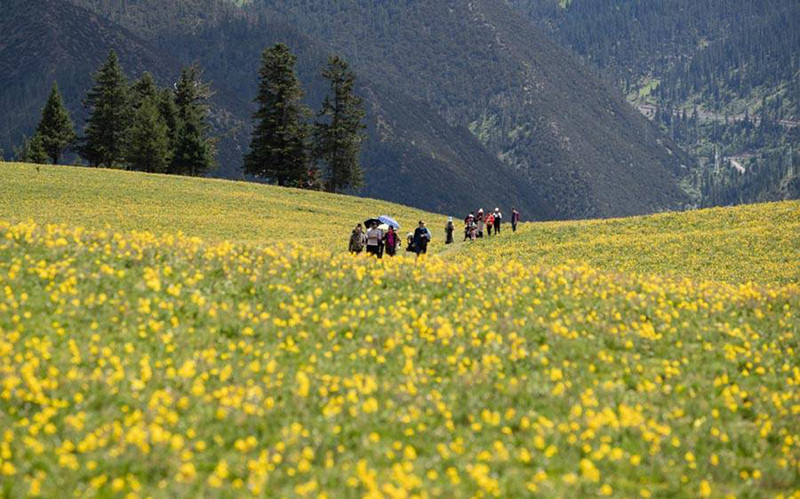 Thưởng ngoạn phong cảnh trên núi đồi thảo nguyên mang lại cho du khách nhiều trải nghiệm tích cực