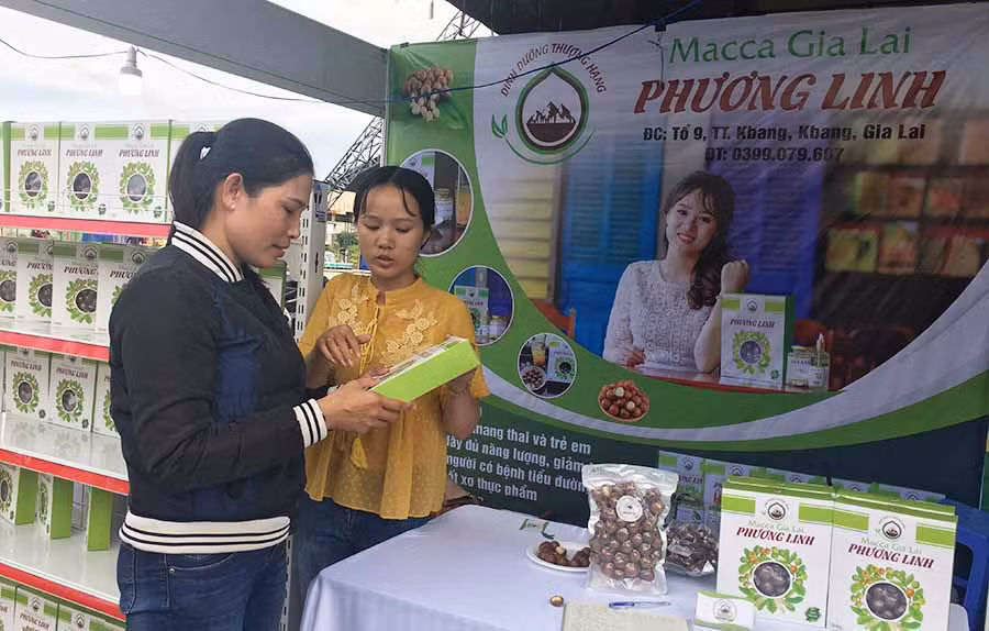  Sản phẩm mắc ca sấy nứt do chị Đỗ Thị Thu Hằng sản xuất đang ngày càng được khách hàng ưa chuộng. Ảnh: V.T