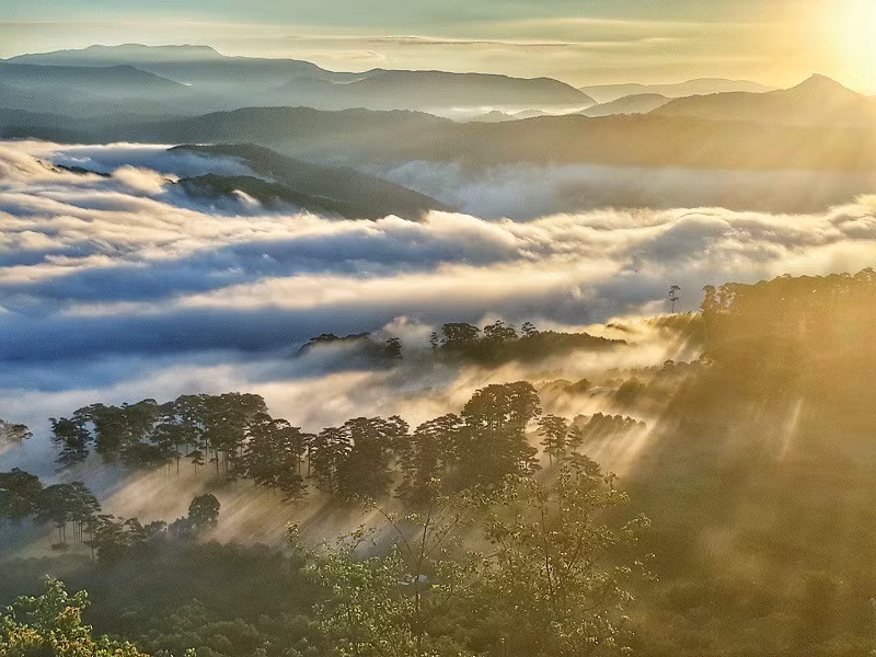 Toàn cảnh mây mù bao phủ đẹp mê ly như chốn bồng lai tiên cảnh ở Đà Lạt.