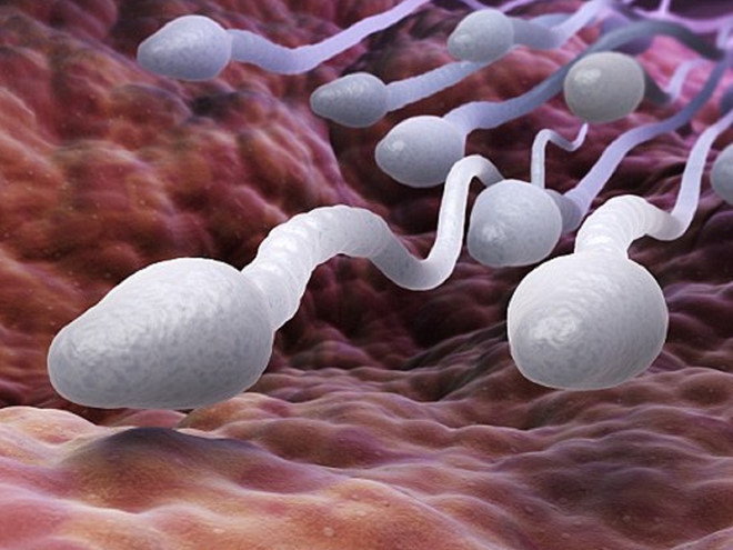 Ảnh minh họa: Shutterstock